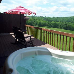 Bear Meadows Lodge – Wilds Room