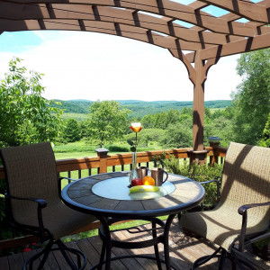 Bear Meadows Lodge – Hideaway Room